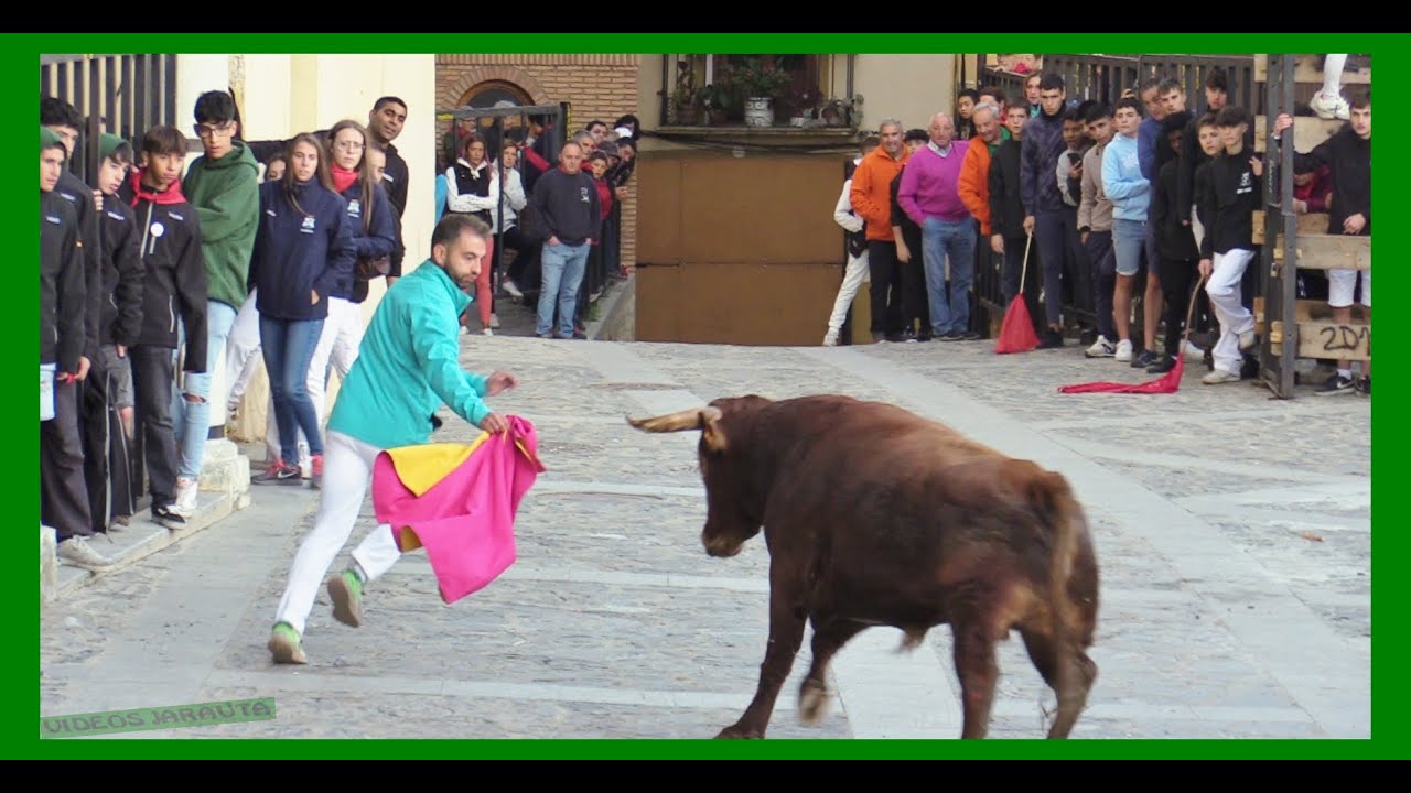 ÁGREDA ( SORIA ) MATINAL VACAS EN CALLE ( VIERNES 29 SEPTIEMBRE 2023 ) GANAD.ORO VELA
