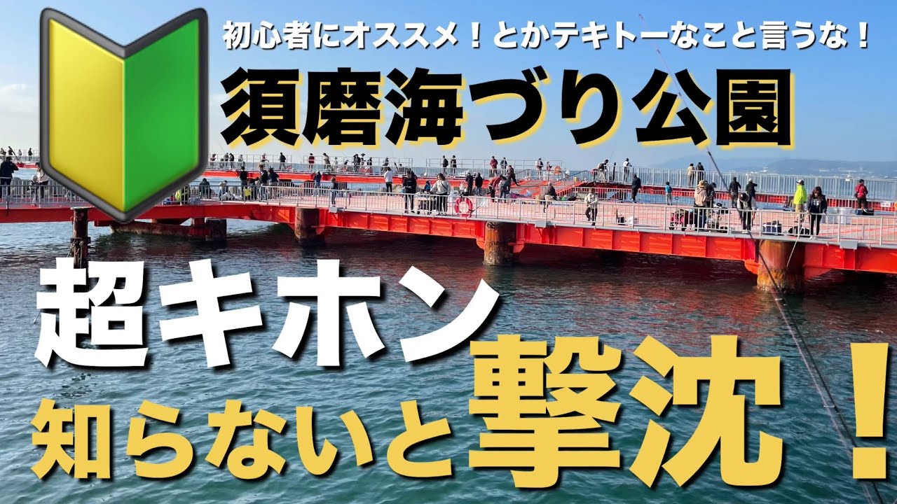 大潮の日は要注意！四季の対象魚、西流れ・東流れ、須磨海づり公園のキホンをご紹介！はじめての方、初心者を真摯にサポートします！
