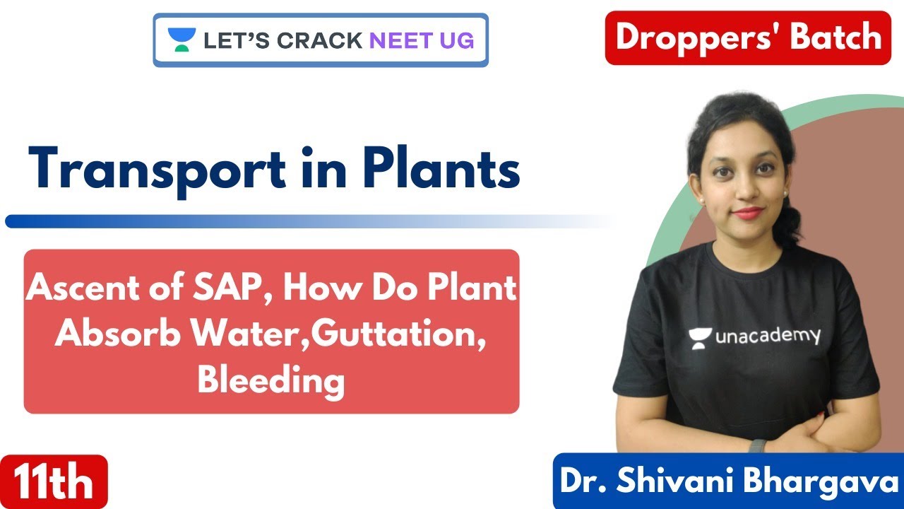 L5: Transport in Plants - Ascent of SAP, How Do Plant Absorb Water, Guttation, Bleeding | Class 11th