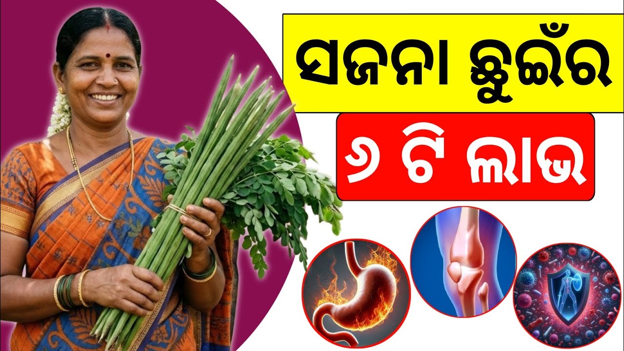 ସଜନା ଛୁଇଁ ଖାଇବାର ୬ଟି ଚମତ୍କାରୀ ଫାଇଦା | Benefits of Moringa | Odia Health Tips 