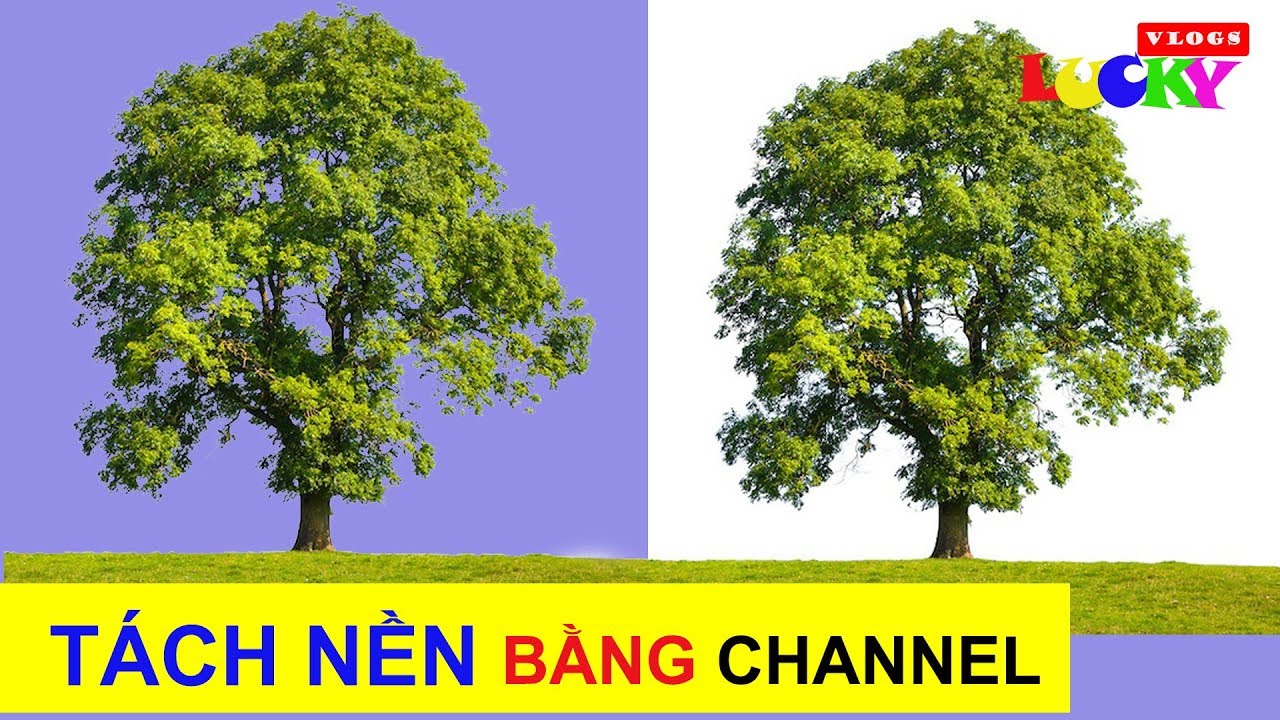 Hướng dẫn cách tách nền chi tiết bằng channel trong photoshop cc 2018