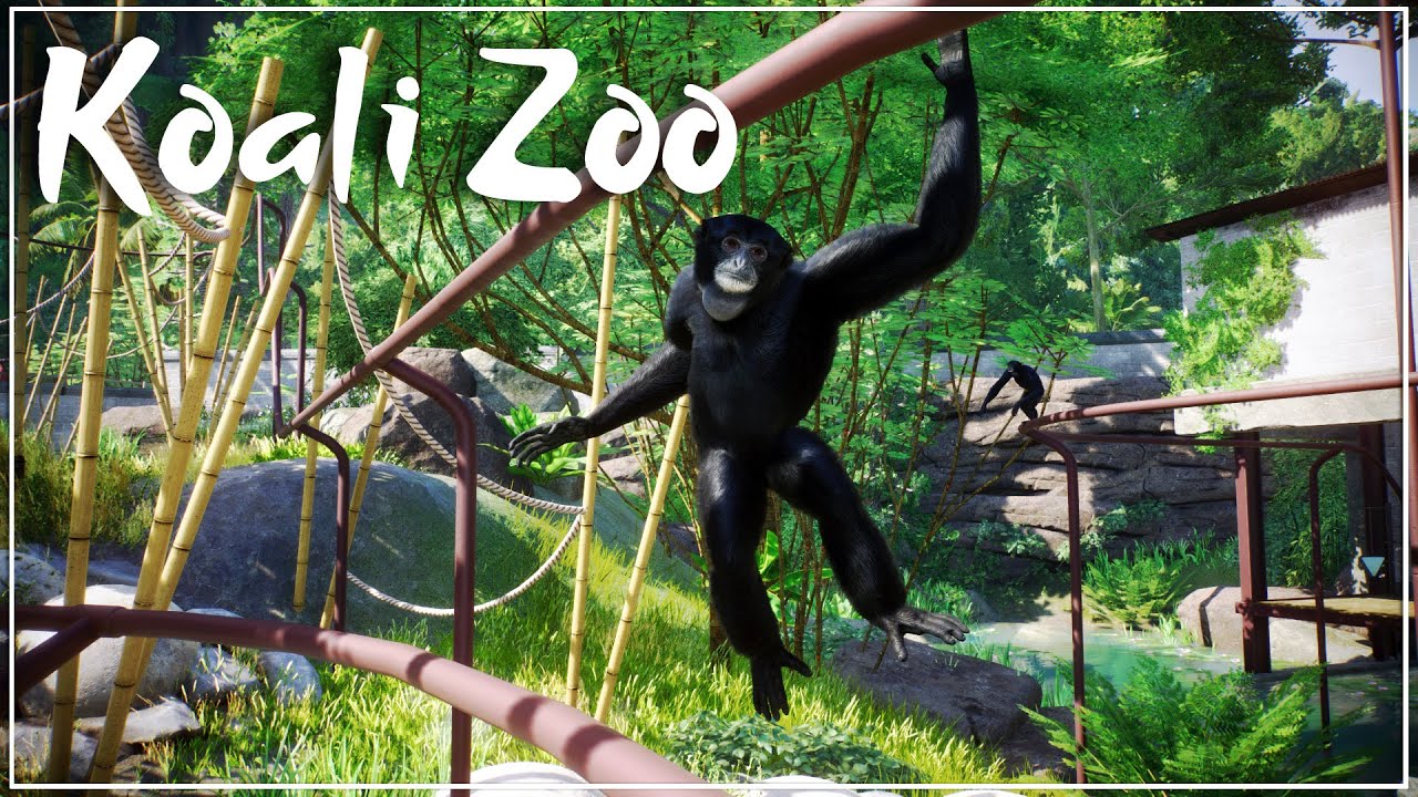 Siamang Sanctuary | Planet Zoo Conservation Pack  | Koali Zoo | Planet Zoo Collab | Ep. 45