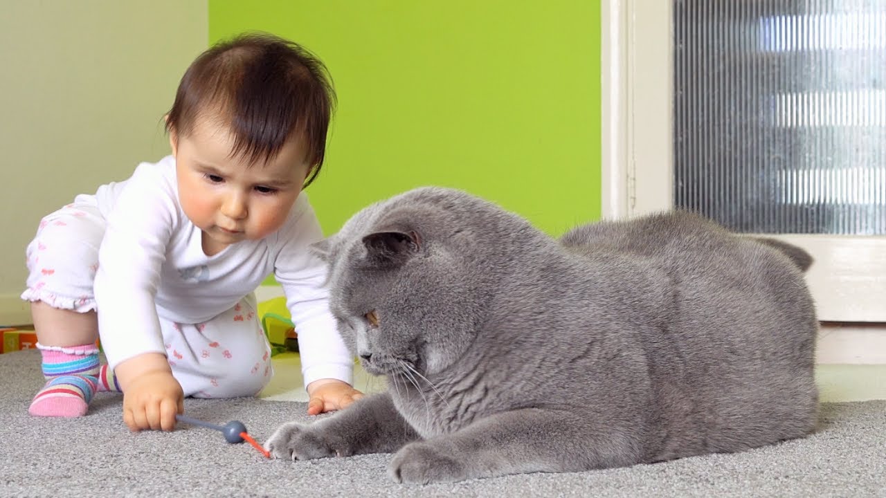 Cat and Baby share a toy