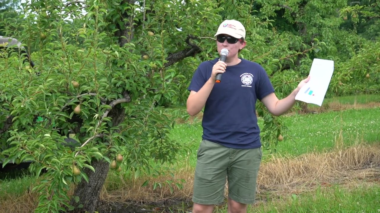 MFGA Annual Summer Meeting - Stop 4, pear psylla, samurai wasp, and brown marmorated stink bug