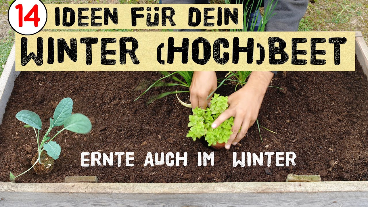 So kannst du dein Hochbeet im Herbst und Winter bepflanzen - Ernte im Winter - Gem&uuml;se im Winter