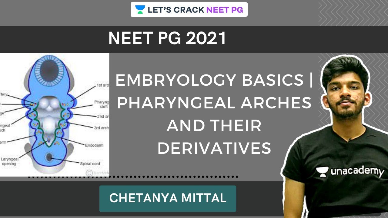 Embryology Basics | Pharyngeal Arches and their Derivatives | NEET PG 2021 |  Chetanya Mittal