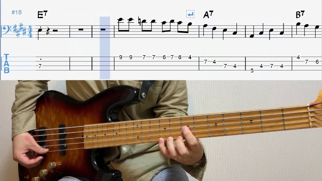 Heartbreak Hotel - Elvis Presley Bass Cover  연주