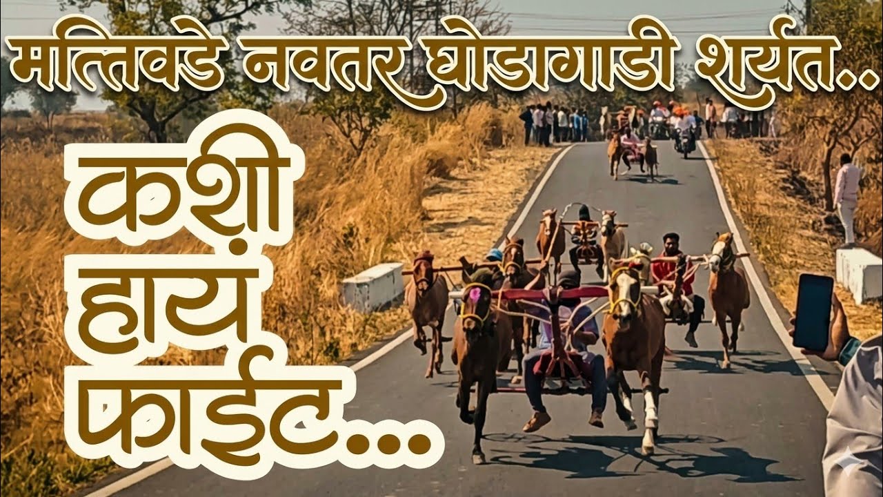 💥 मत्तिवडे नवतर घोडागाडी शर्यत Mattiwade Navter Ghodagadi Maidan #sharyat #horse #horseriding 