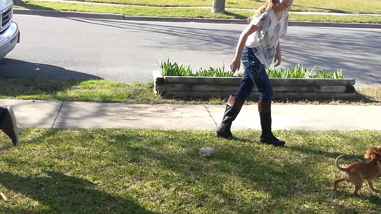 Mini wassabians / how to avoid someone