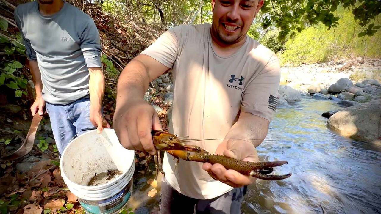 Pesca de Camarón de rio Gigante con solo las mano