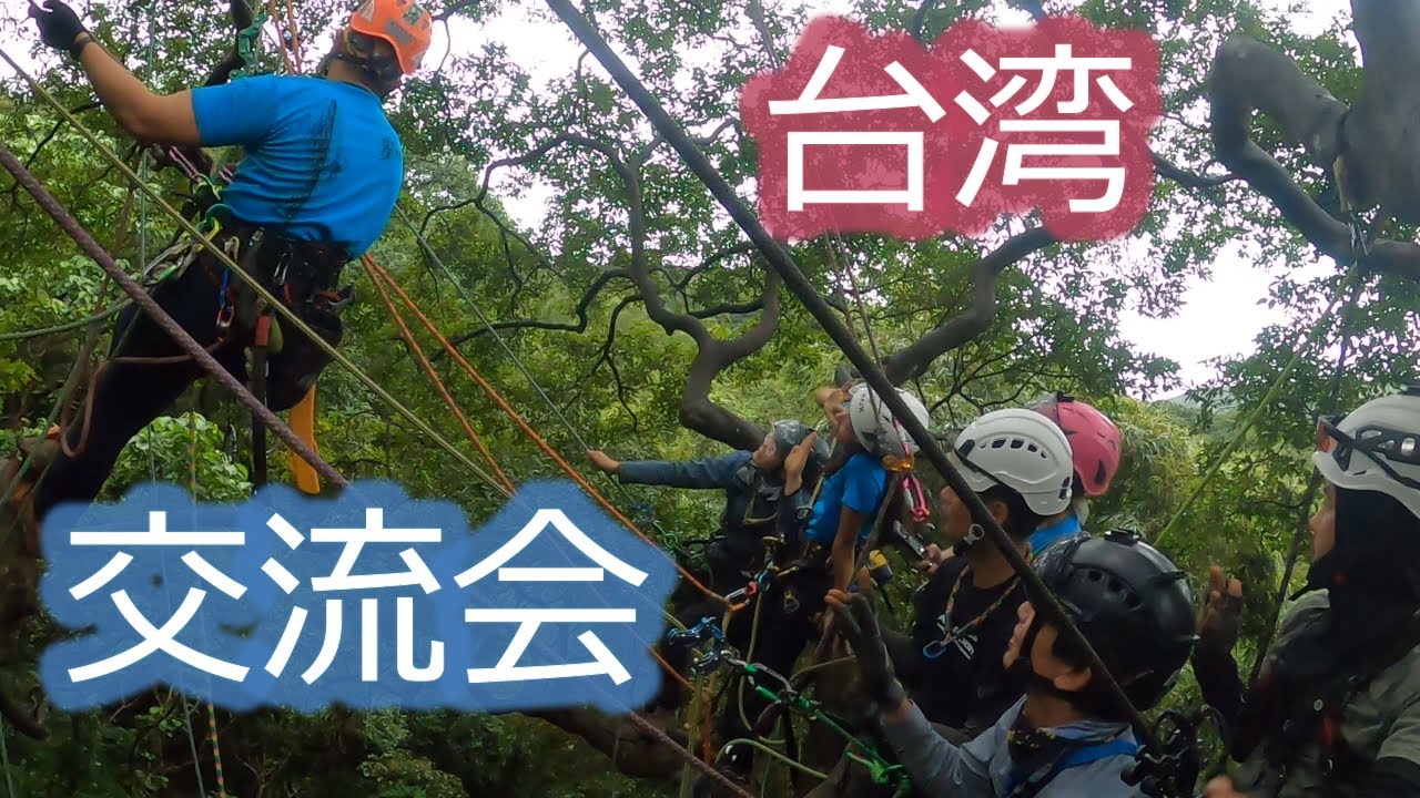 【Tree climbing】台湾✕日本ツリークライマーとの交流会！（2/2）