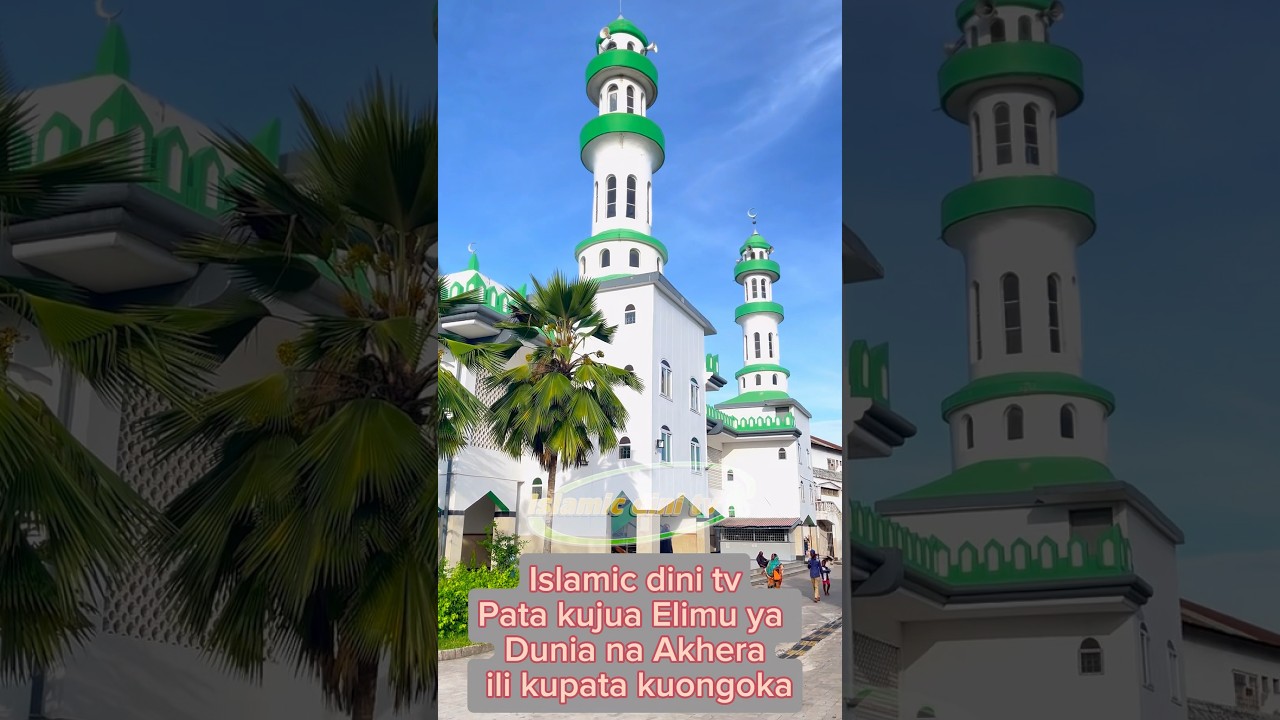 Surah Yasin (Yaseen) by Islamic Dini Tv #islamic_dini_tv #islamicdinitv