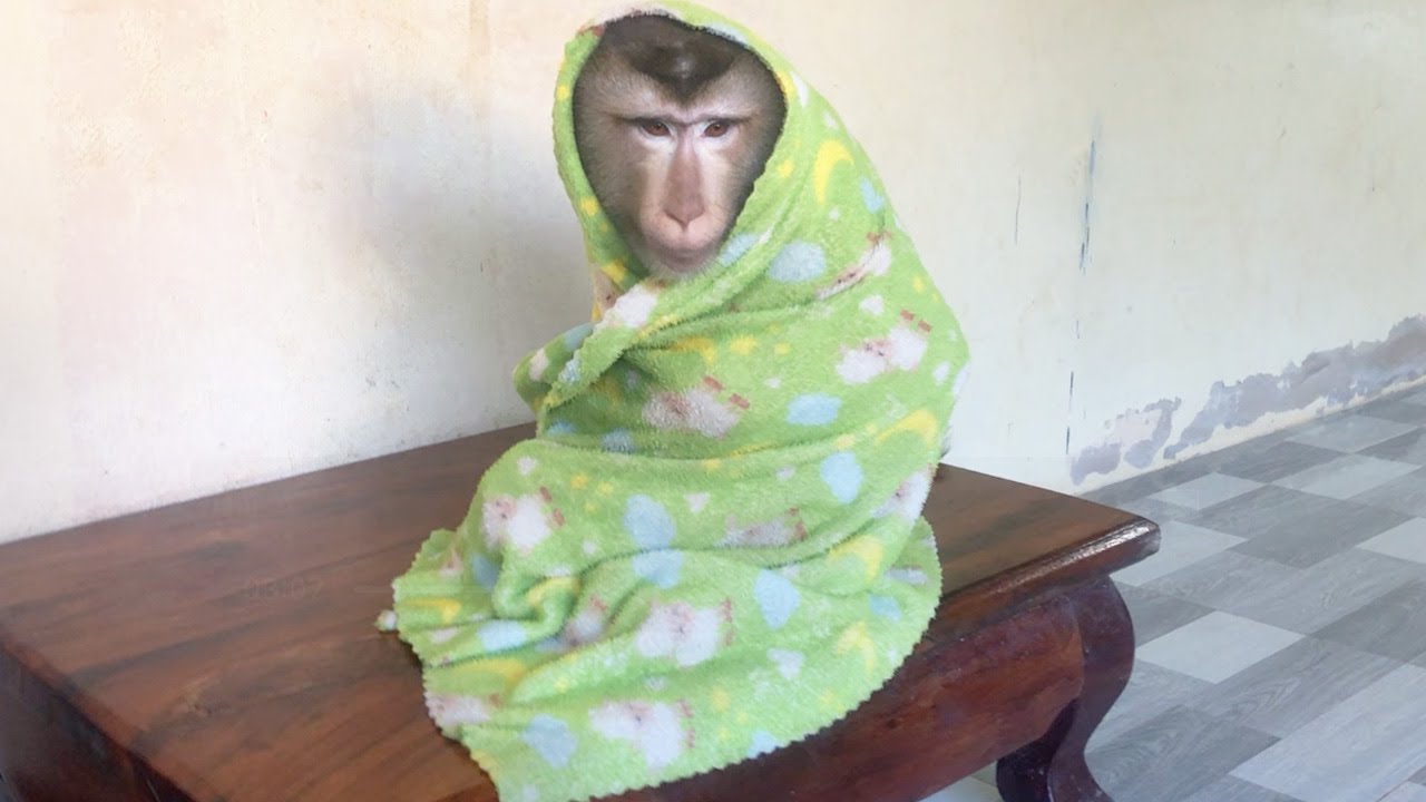 Little Jason Wrap In Towel To Calm Down Stop Stomp Feet Provoke Mom
