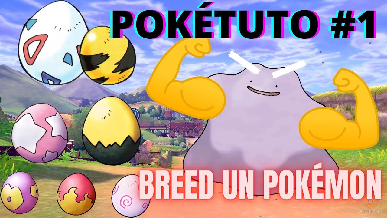 POKÉTUTO #1: Les bases de la REPRODUCTION, farm de METAMORPH et BREEDING de Pokémon stratégique