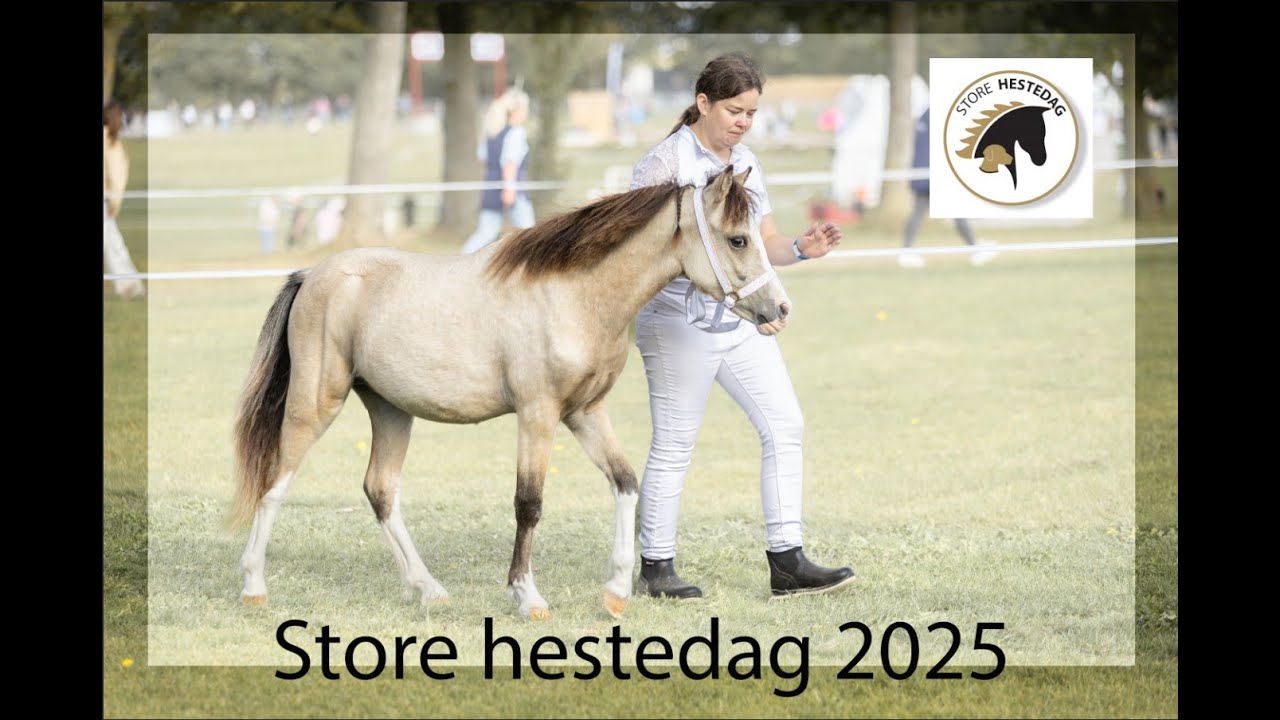 STH - Vlog, klargøring, shopping