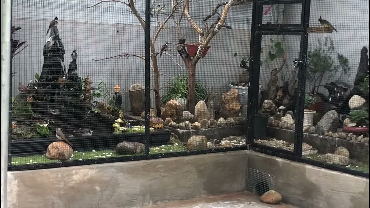 Y&ecirc;n b&igrave;nh tại nh&agrave; với cafe v&agrave; avi đơn giản m&agrave; đẹp