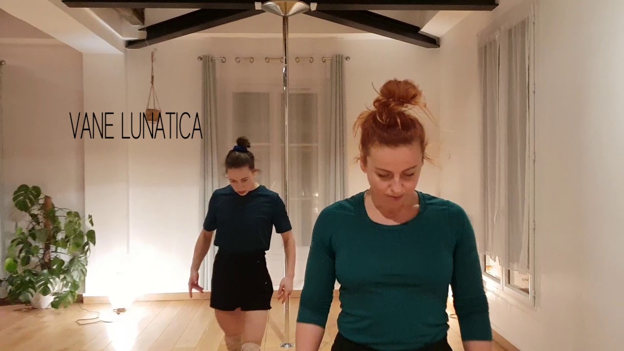 Vane Lunatica & Yvonne Smink - contemporary pole exploration
