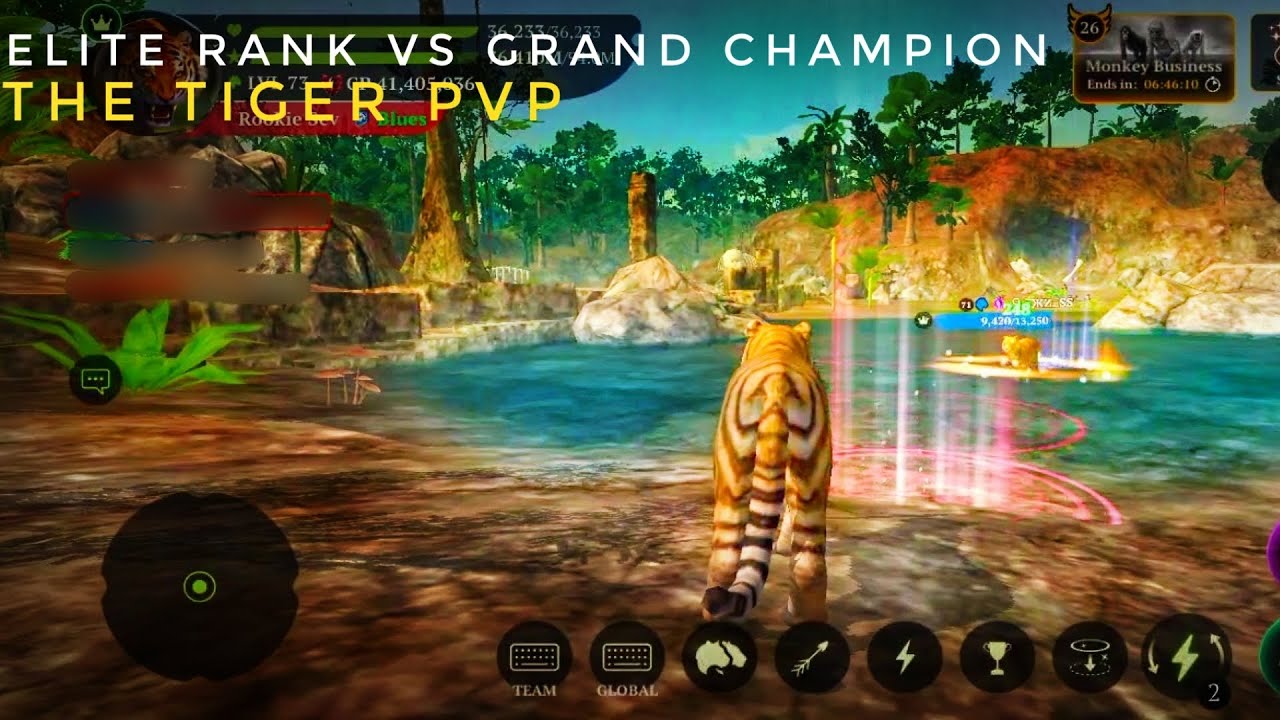 Elite Rank Player vs Grand Champion Rank Player || The Tiger Online PvP