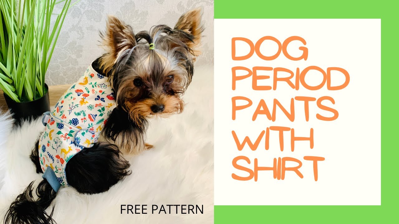 DIY: How to make dog period pants with shirt/Free pattern