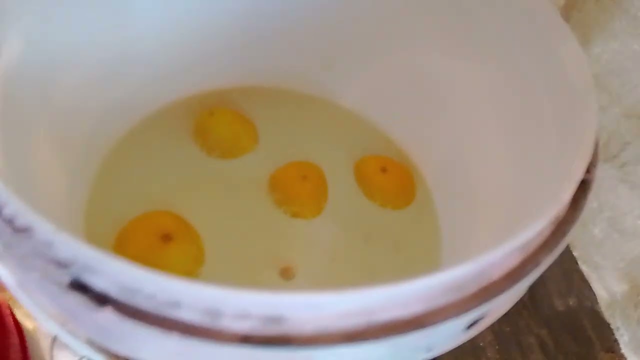 يومياتي مع طيوري ومعلومة مفيده 