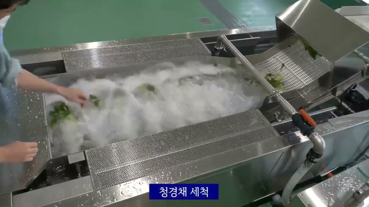 식품세척기 / 원물세척기 / 야채세척기 / 채소세척기 / 과일세척기 / 육류세척기 / 수산물세척기 / 계육세척기 / 닭고기세척기 / 이물제거 / 푸드세척