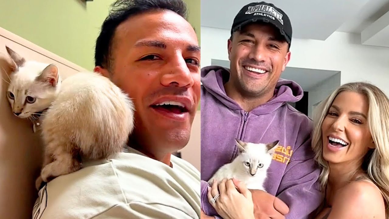 They Saved A Scared Kitten During A Hurricane 🥹💕