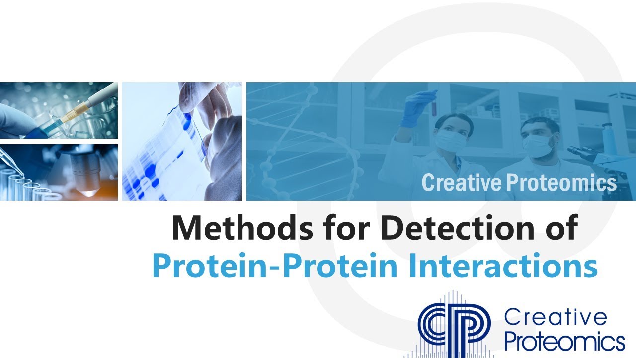 Methods to detect protein-protein interactions (PPIs)