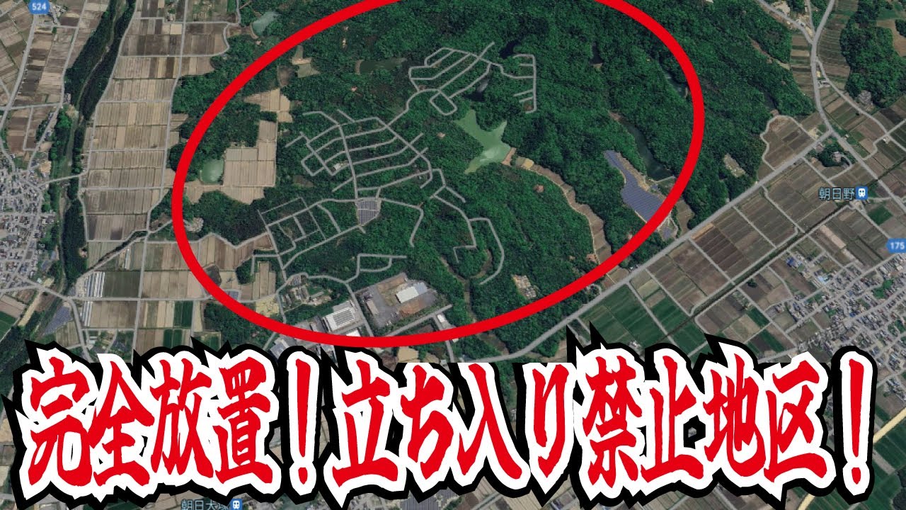 【過去最悪】完全放置状態で立ち入り困難な限界ニュータウンが関西にありました。