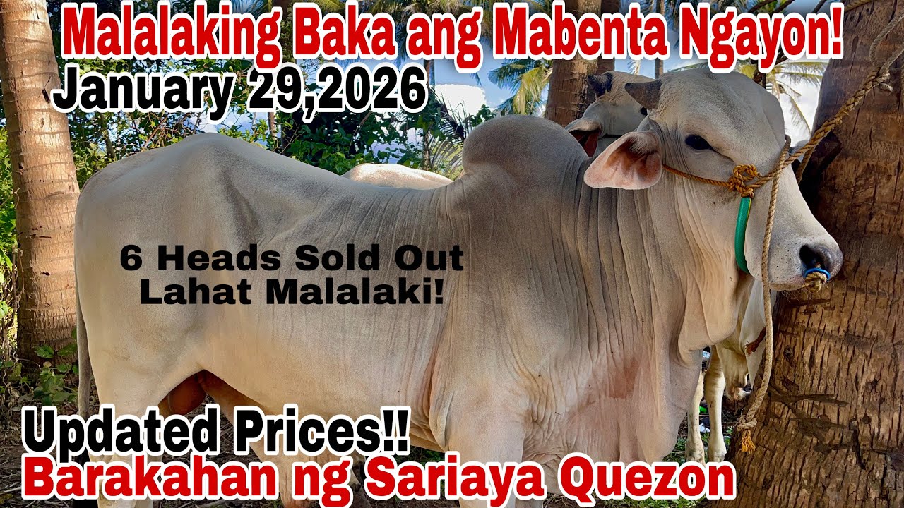 January 29, 2026 Updated Prices Daming bumili!! 