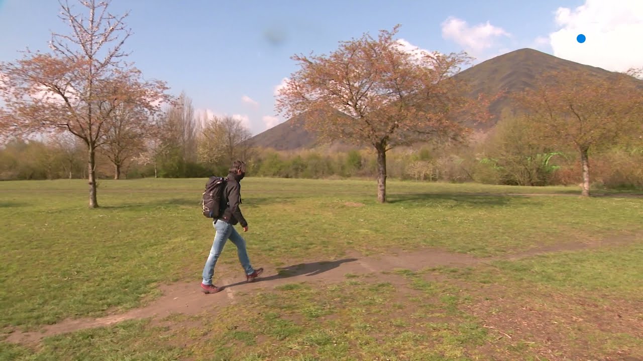 Terrils : biodiversité et patrimoine minier.