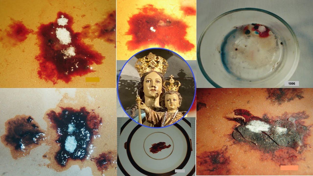 Versión oficial del Milagro Eucaristico en la Parroquia Santa Maria Buenos Aires