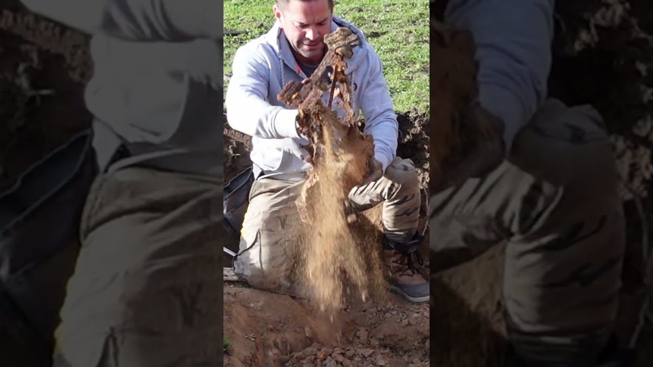 Waffenlager der Wehrmacht entdeckt