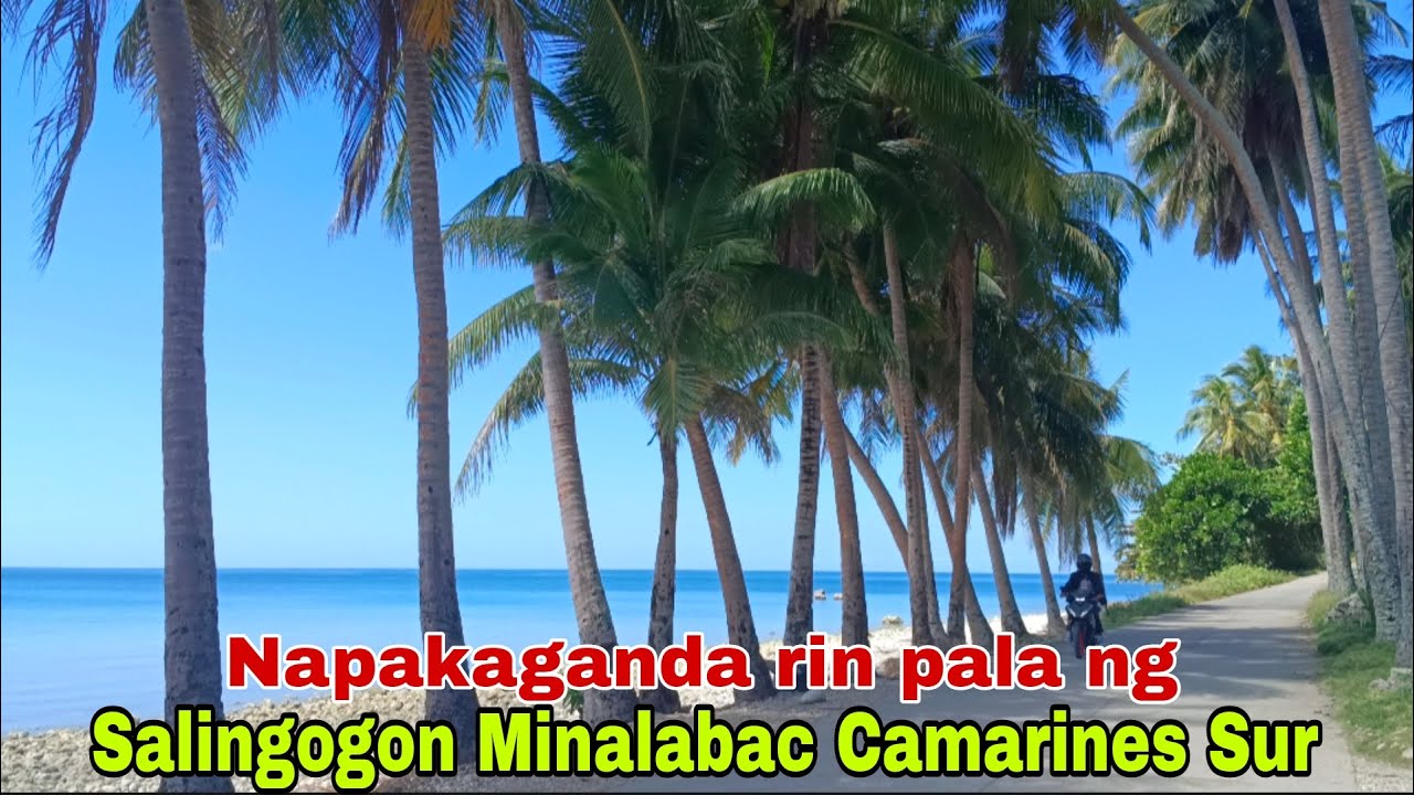 Napakaganda rin pala ng SALINGOGON MINALABAC CAMARINES SUR