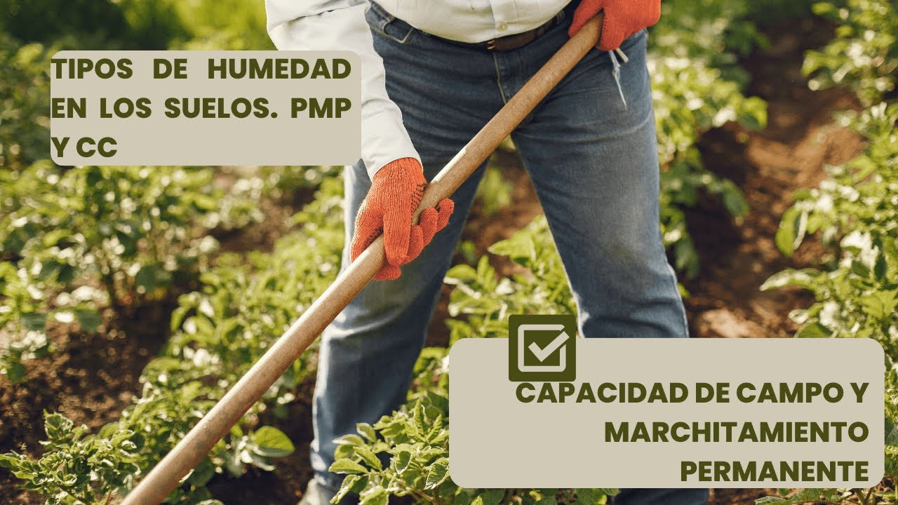 Capacidad de campo y marchitamiento permanente (CC y PMP). Dos variables importantes en el riego.