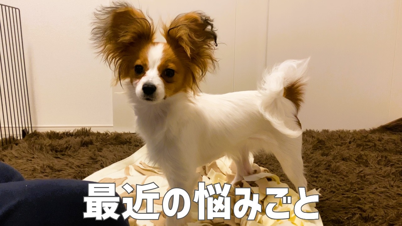 最近の悩みごと