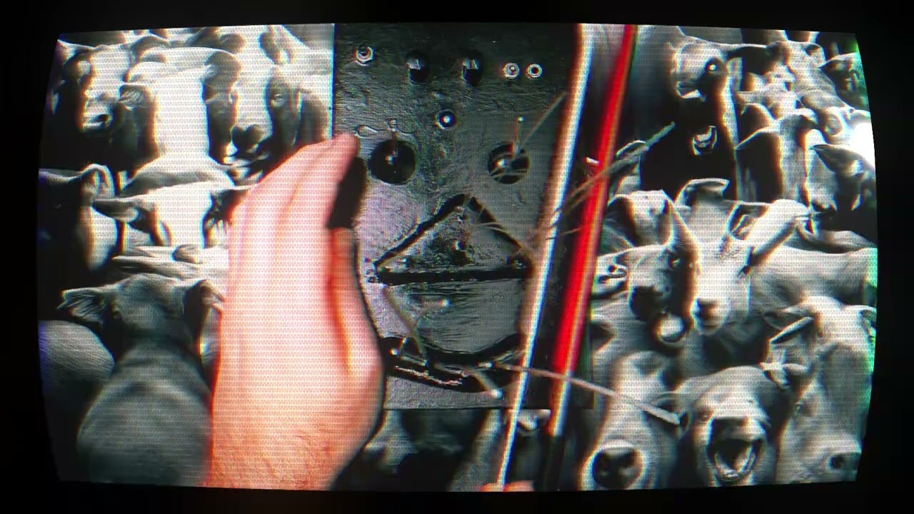 Electro Lobotomy Sonic Forest into DroloFX Strands