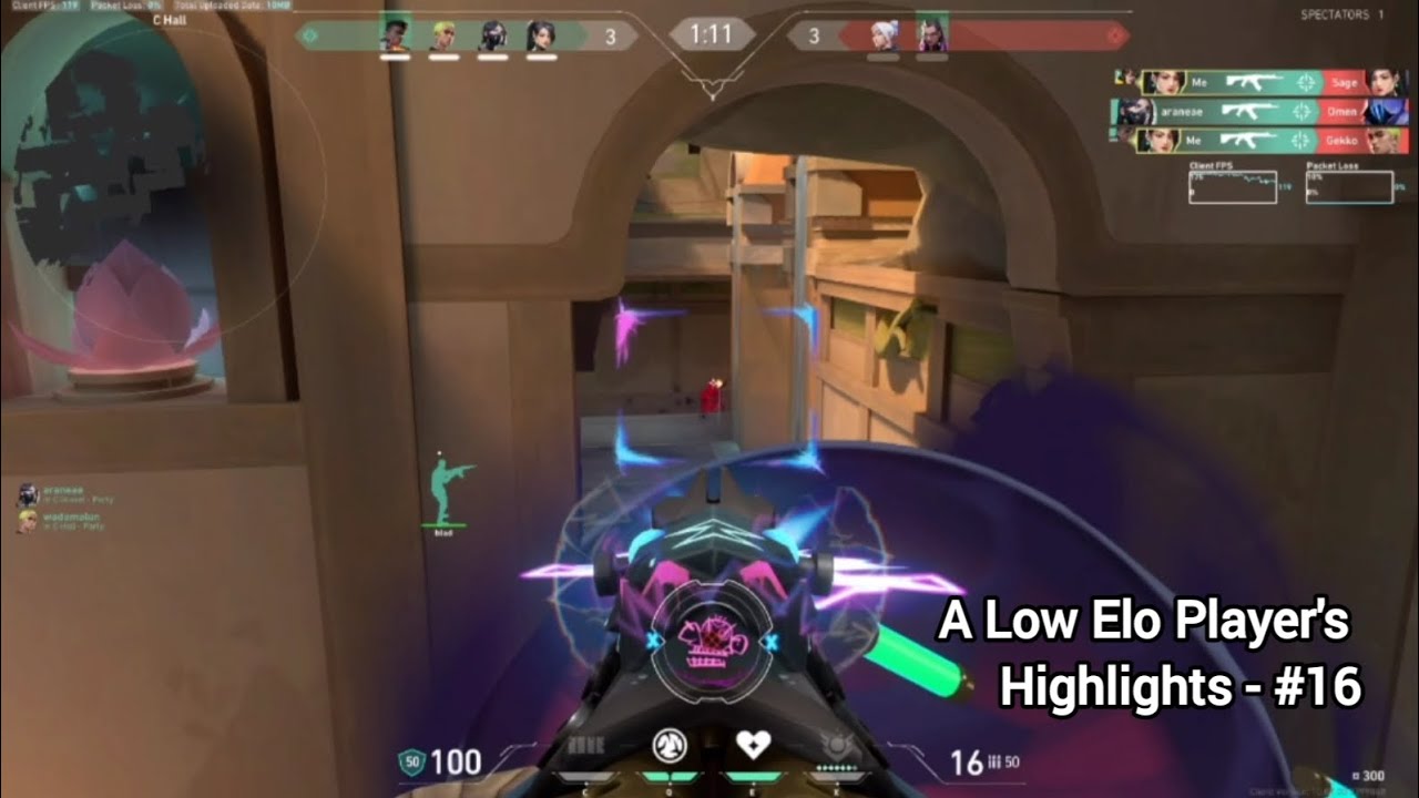 A Low Elo Player's Highlights - #16
