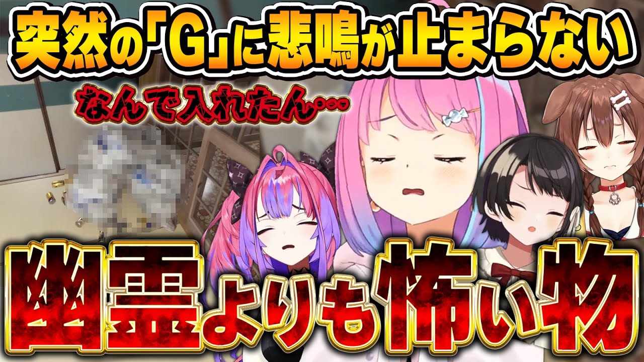 絶叫！観察！撮影！突如現れる｢G｣を見たホロメンの反応まとめ【呪いのデジカメ/姫森ルーナ/ホロライブ切り抜き】