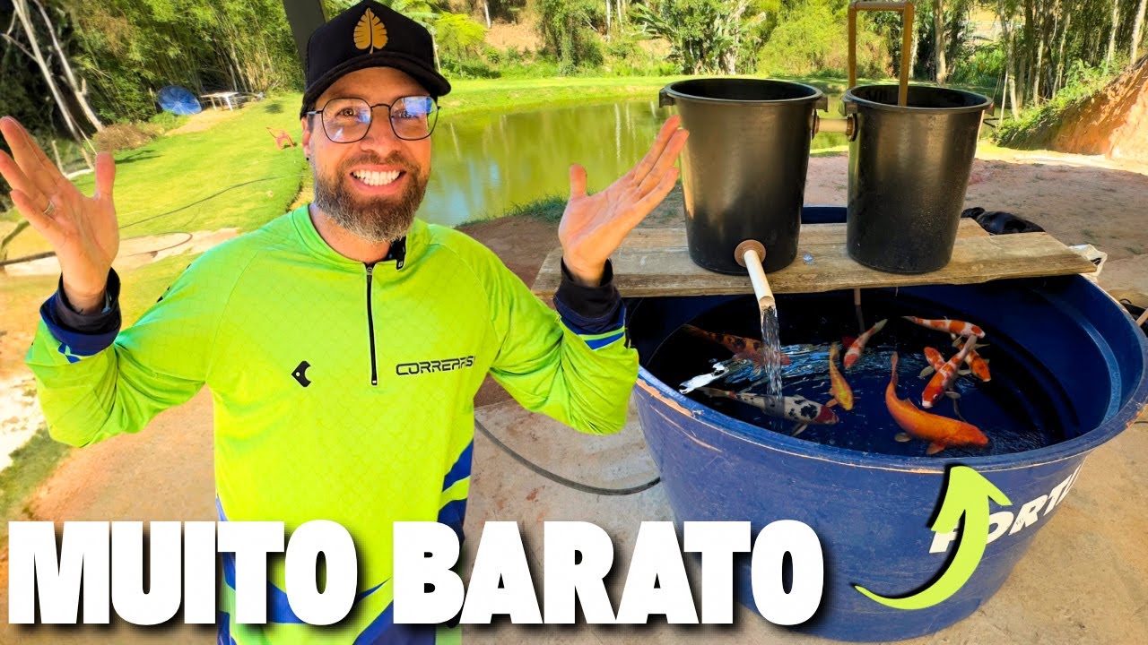 Sistema de criação de peixes em caixas d'água RÁPIDO E BARATO (passo a passo)