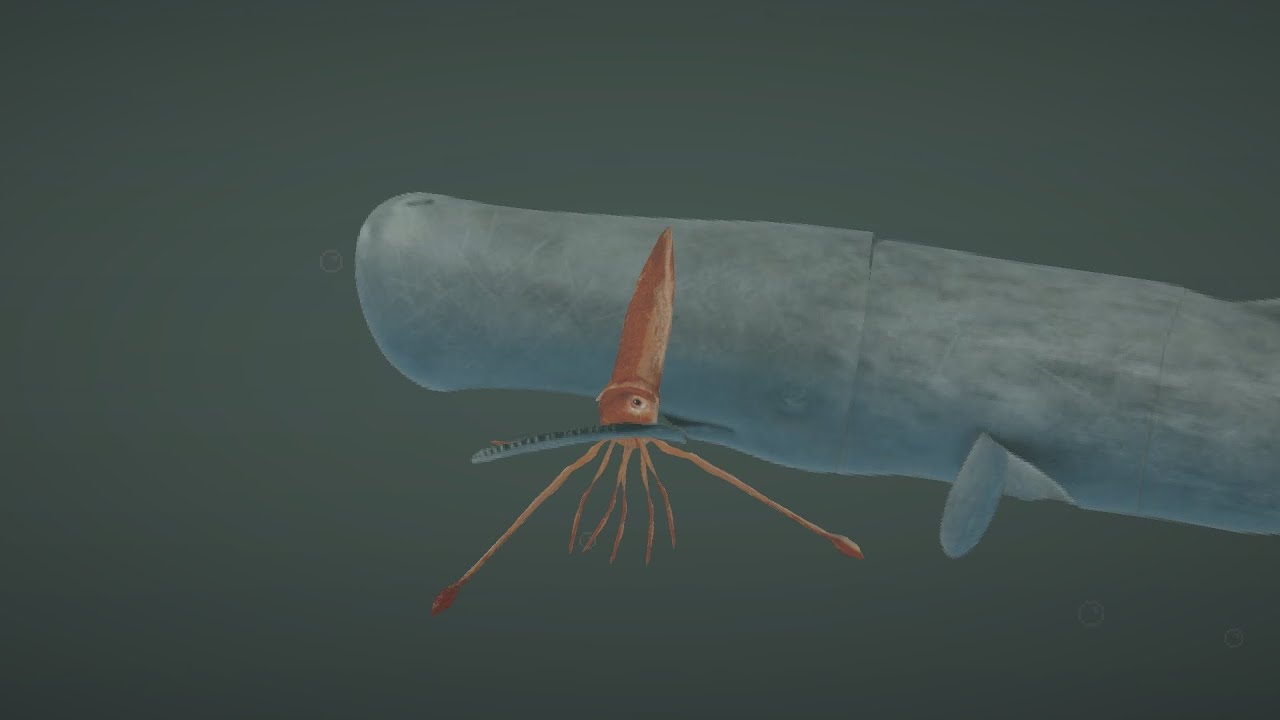 Giant squid mod for melon playground