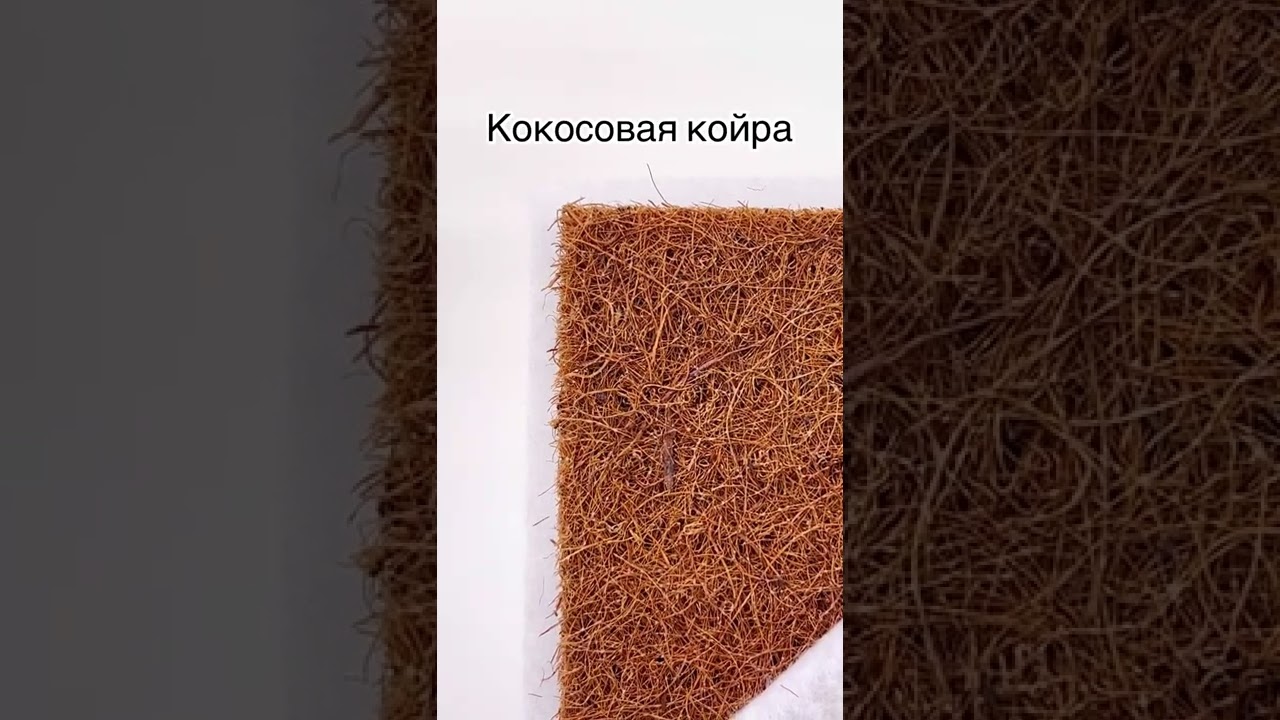 Матрас Снежный кокос Optima Dream холкон 120 60 Ramelka