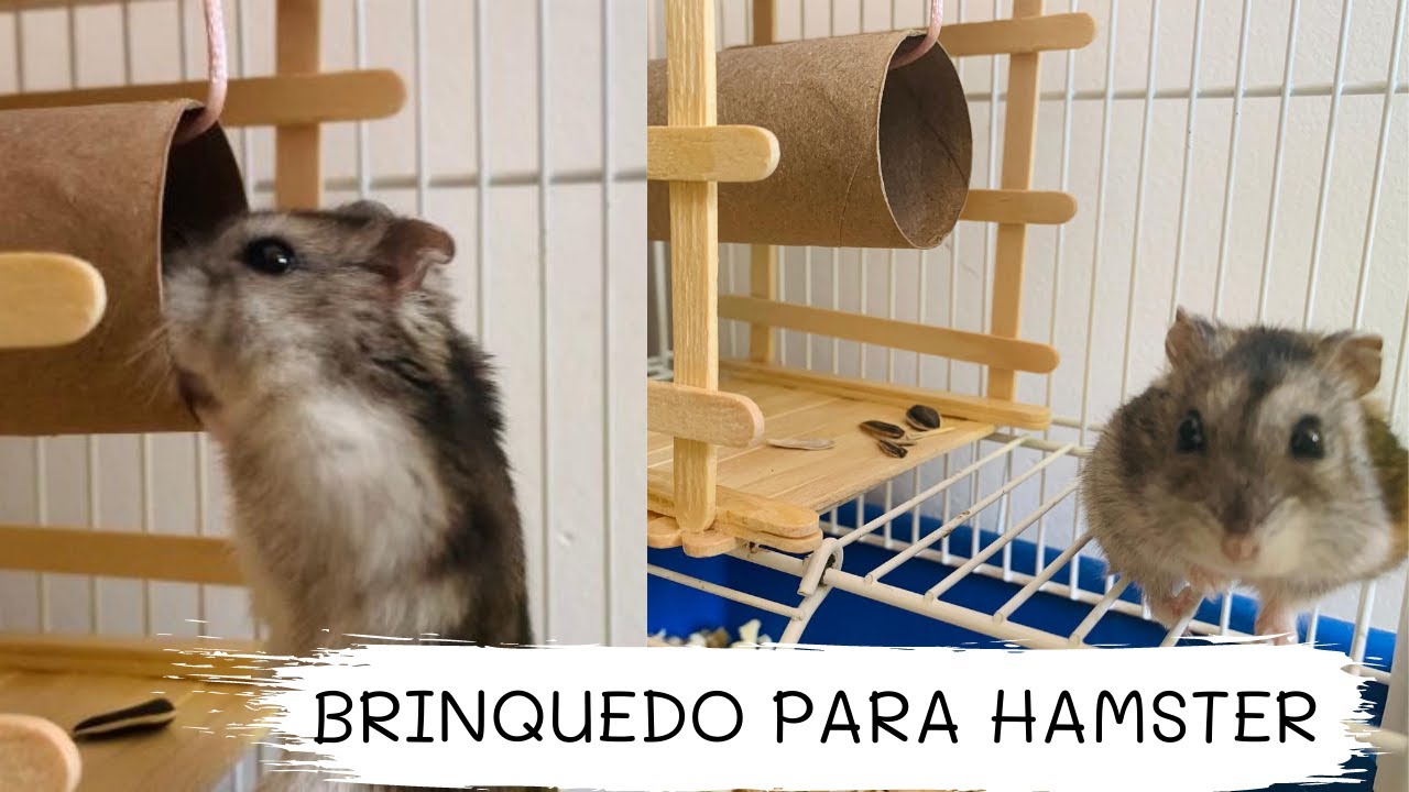 DIY | BRINQUEDO PARA HAMSTER COM PALITO DE PICOLÉ E ROLO DE PAPEL