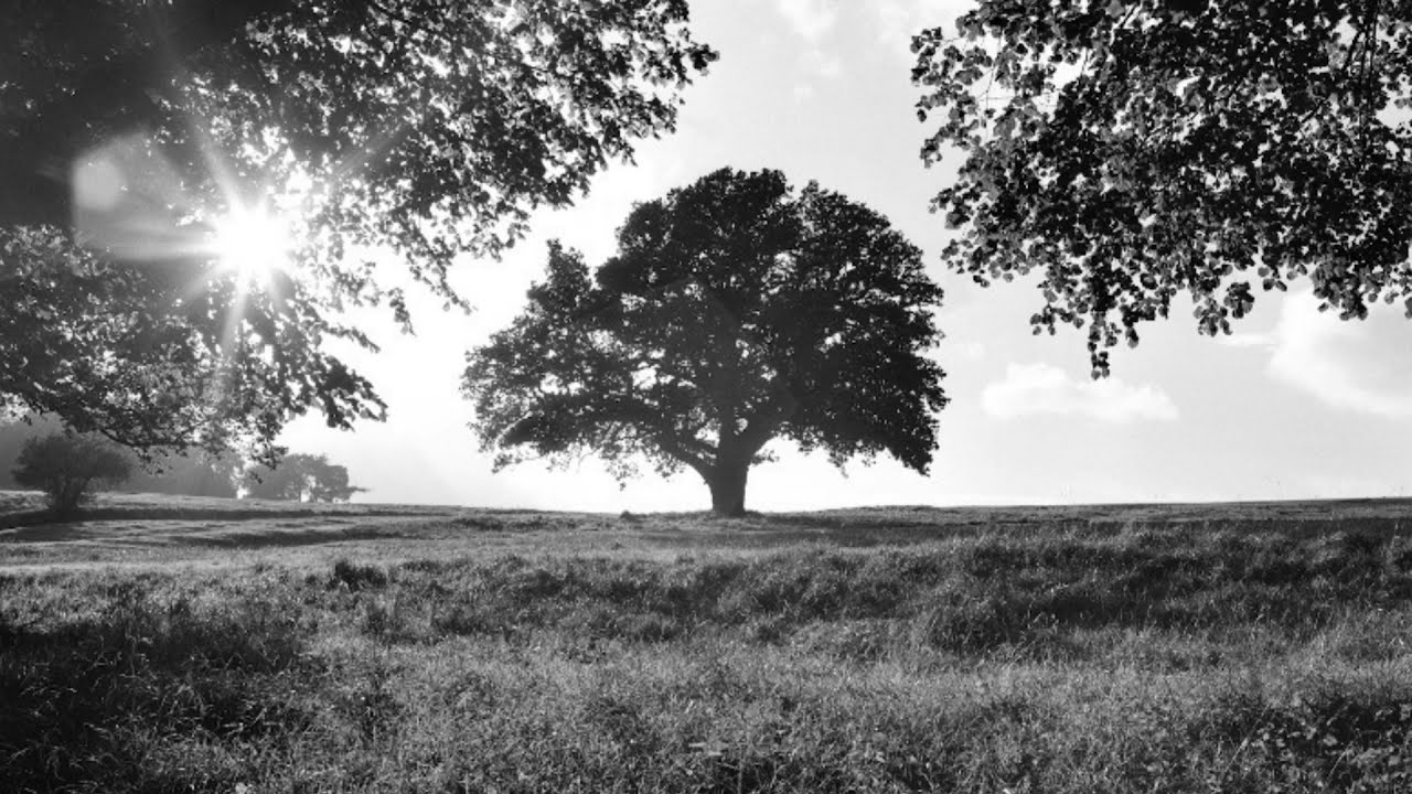 1 - La Paix est notre État Naturel ♥  #contemplationsonore