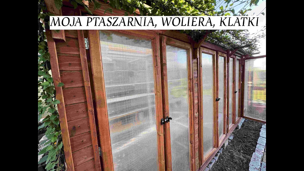 MOJA PTASZARNIA, WOLIERA, KLATKI