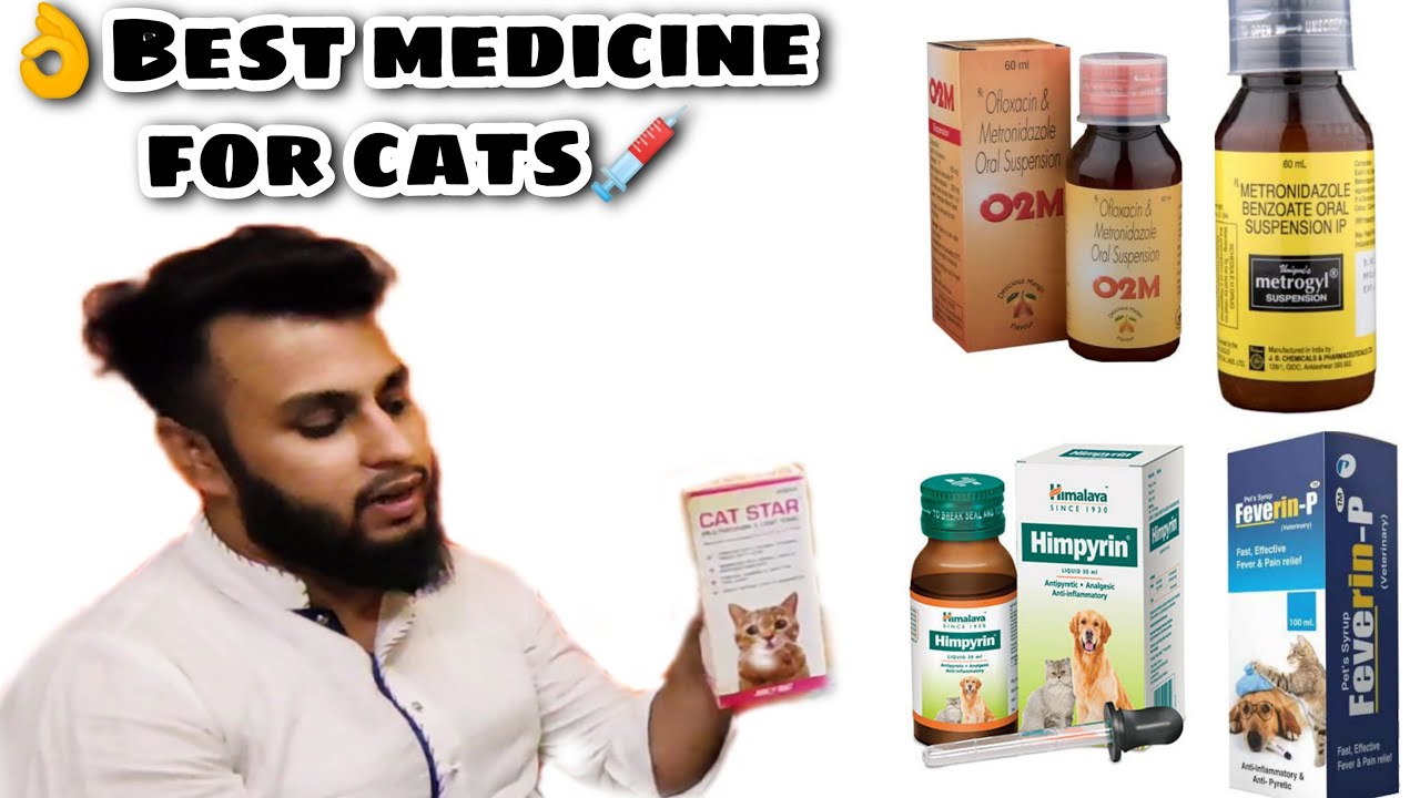 BEST MEDICINE FOR CATS FEVER |  LOSE MOTION | VOMITING |FUNGAL INFECTION |IMMUNITY INCREASE PET INFO