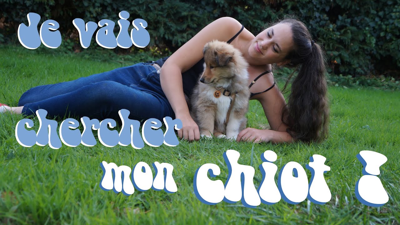 Je vais chercher mon chiot !