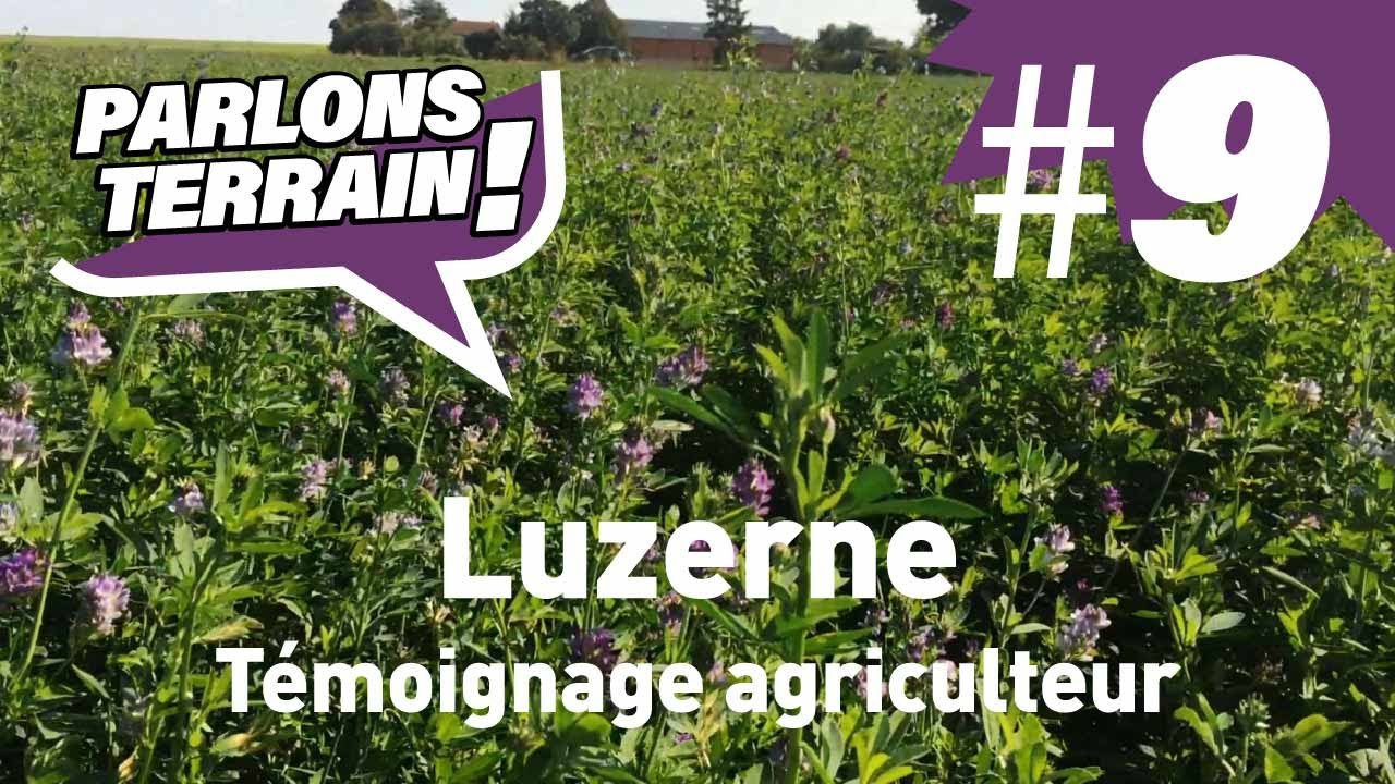 Parlons terrain #9 : luzerne en zone déshy - Témoignage agriculteur