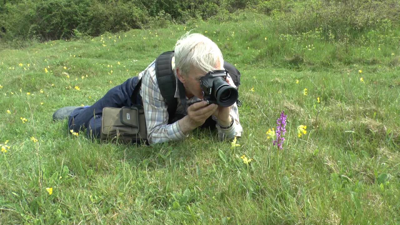 Noar Hill 12th May 2016