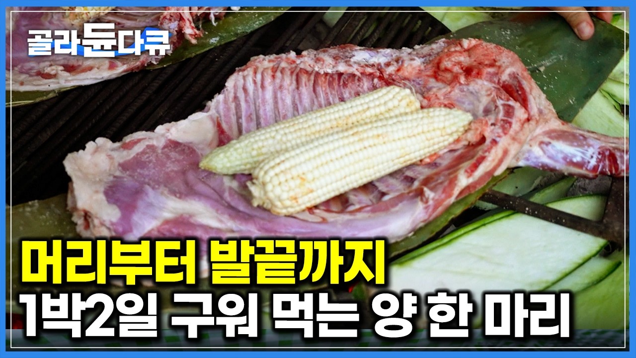 부속 하나 안 남기고 다 먹는다. 굽는데만 1박2일 걸린다는 양고기 요리｜멕시코 전통 고기 요리 ‘바바코아’｜세계테마기행｜#골라듄다큐