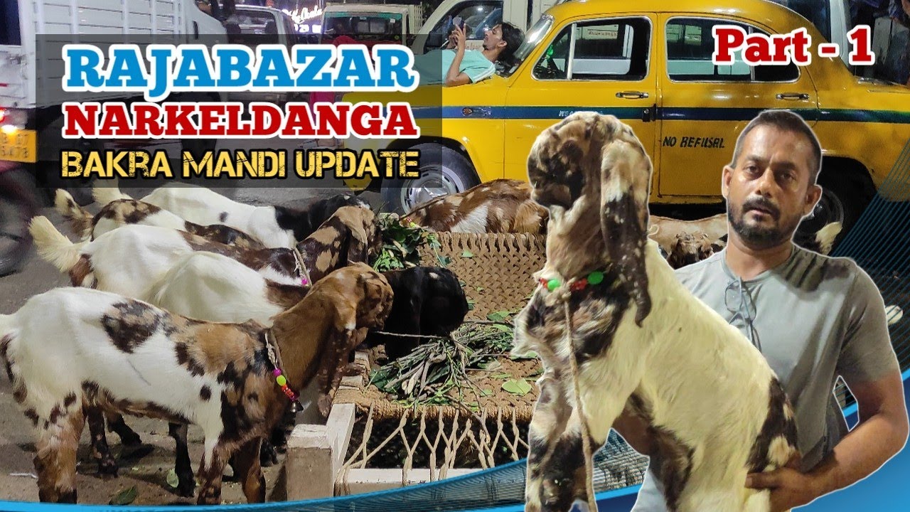 Rajabazar Narkeldanga Bakra Mandi | Kolkata goat market | Totapuri Gujri & Beetal For Sale (Part -1)
